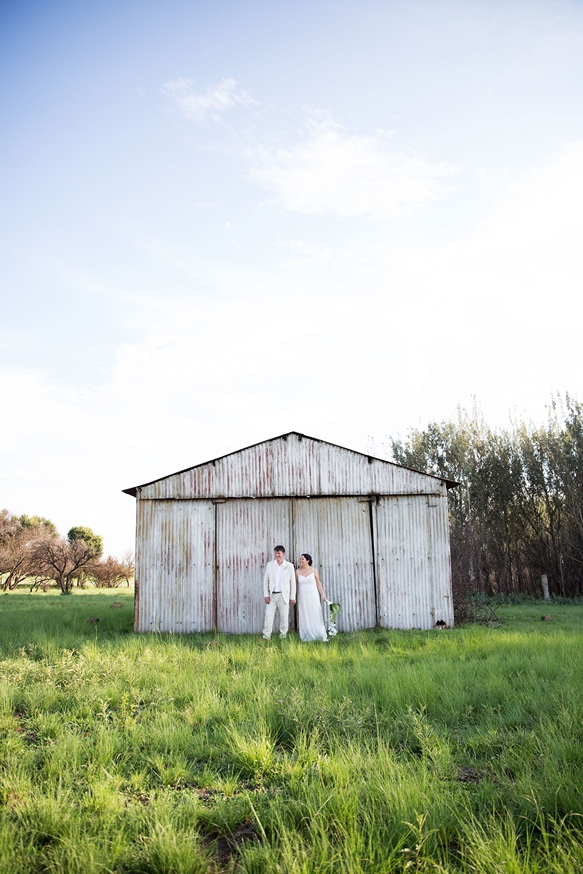 Shed
