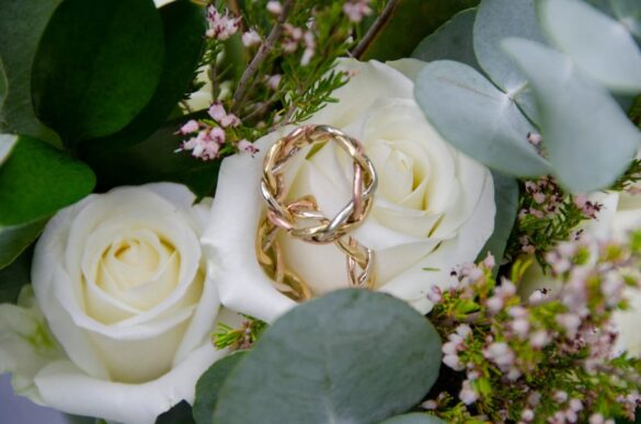 Franco&Herma ringe