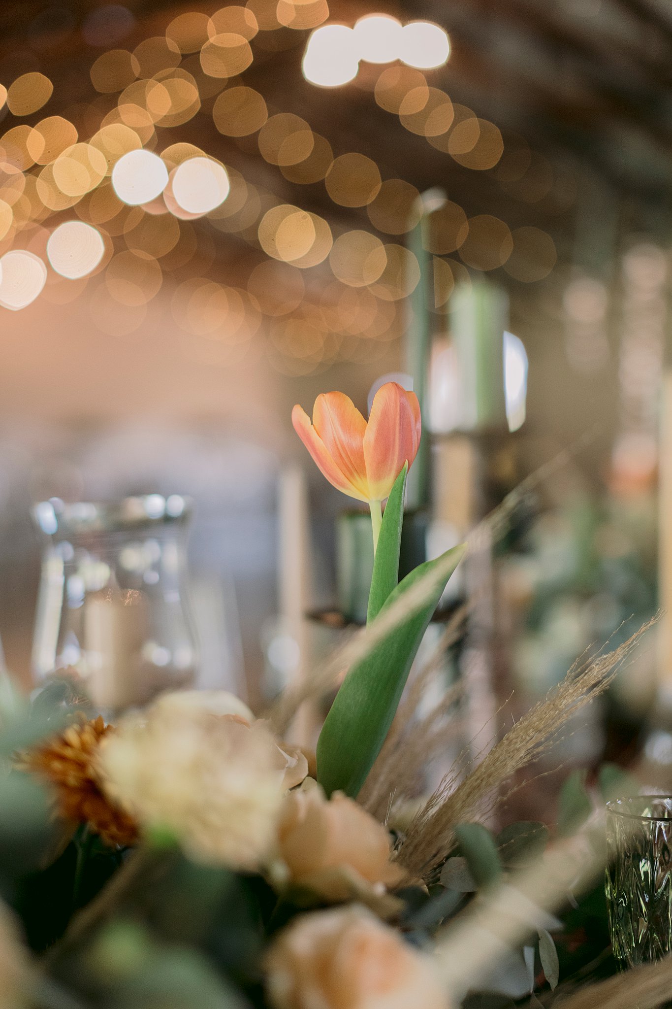 Johnny & Maryna – 2