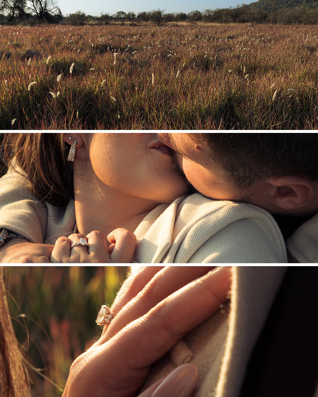Cinematic Layouts_1